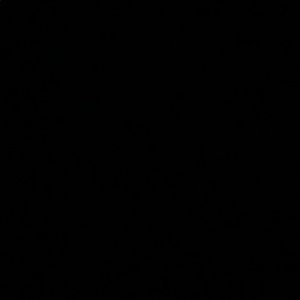 Meet your Posher, Ash